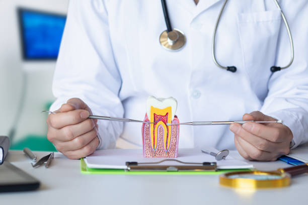 Best Knocked-Out Tooth Emergency  in Magnolia, NJ